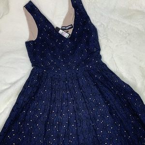 Karl Largerfeld Blue Dress